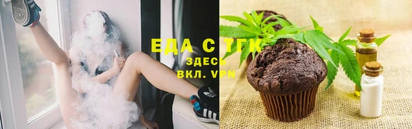 прущие грибы Новодвинск