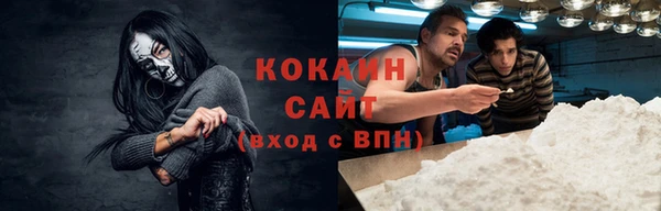 тгк Новозыбков