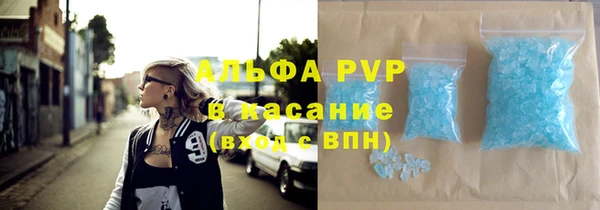 прущие грибы Новодвинск