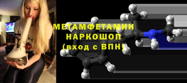 прущие грибы Новодвинск
