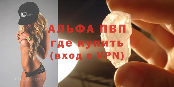 прущие грибы Новодвинск