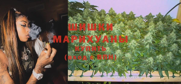 тгк Новозыбков