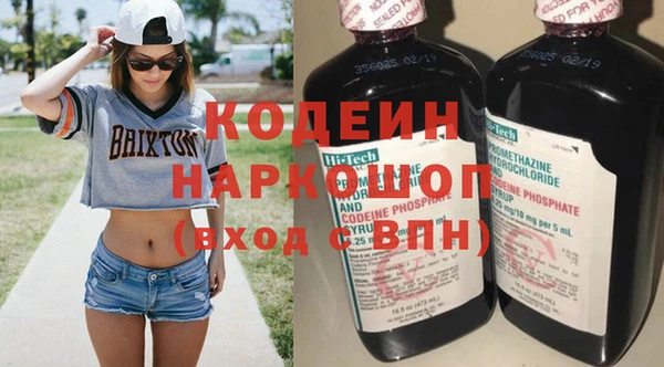 прущие грибы Новодвинск