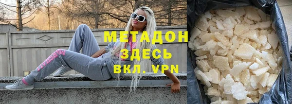 прущие грибы Новодвинск