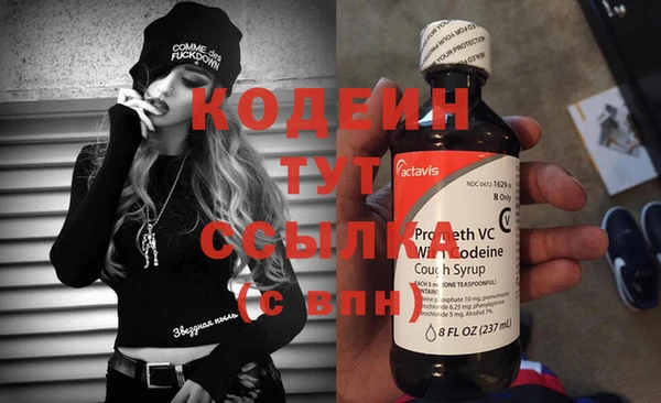 прущие грибы Новодвинск