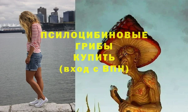 прущие грибы Новодвинск