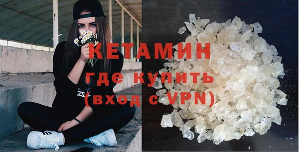прущие грибы Новодвинск