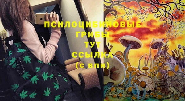 марки nbome Няндома