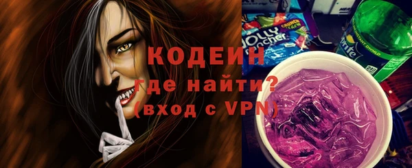 прущие грибы Новодвинск