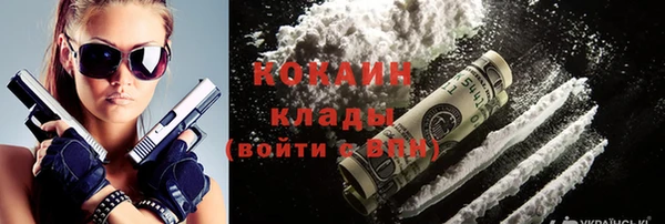 прущие грибы Новодвинск