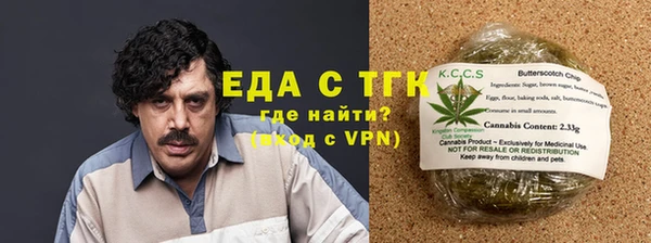 тгк Новозыбков