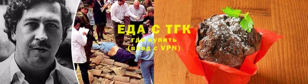 тгк Новозыбков