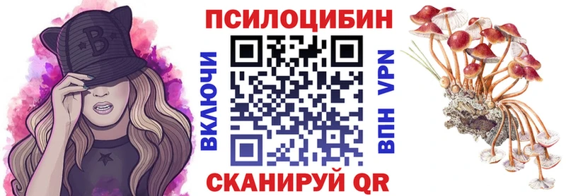 цена наркотик  Пугачёв  Псилоцибиновые грибы мицелий 
